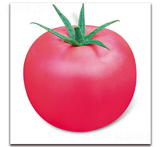 ���m7̖(h��o)-�۹����ѷN��-����