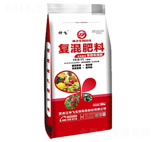 ���ߌ��Ï�(f��)�����15-9-11-���w