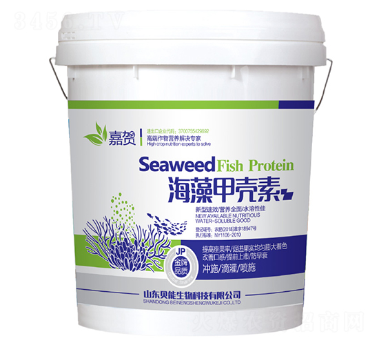 ����ך���-���R-ؐ������