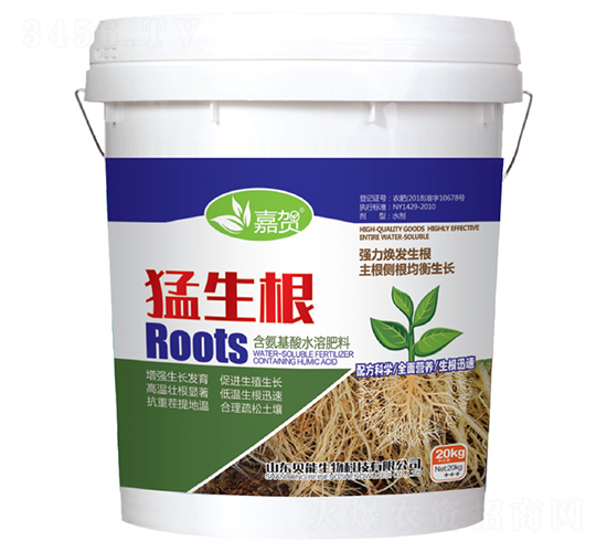 ������-���R-ؐ������