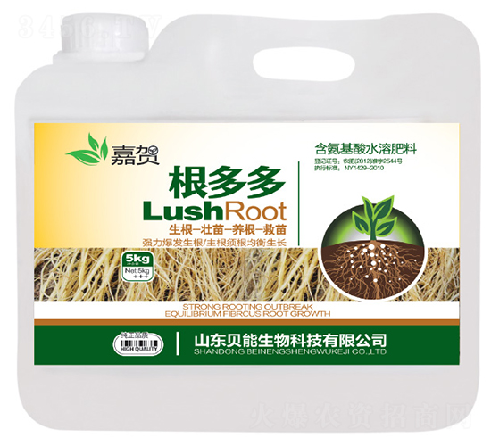 5kg�����-���R-ؐ������