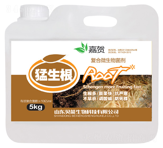 5kg������-���R-ؐ������