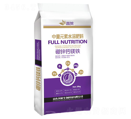 ���\�}�V�F-���R-ؐ������