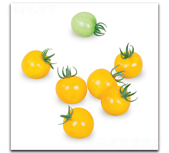 �S���˅���-���ѷN��-��ʢԪ