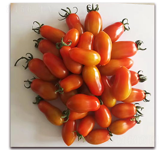 ��ϼ-���ѷN��-��ʢԪ