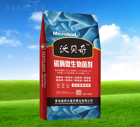 ̼ø΢�������-��ؐ�R-������r(n��ng)