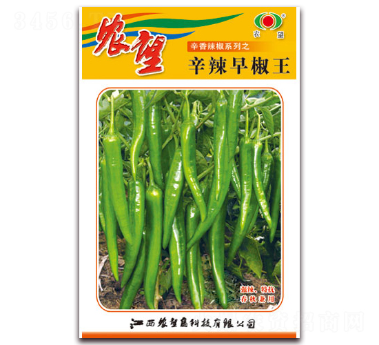 �����罷��-�⽷�N��-�r(n��ng)��