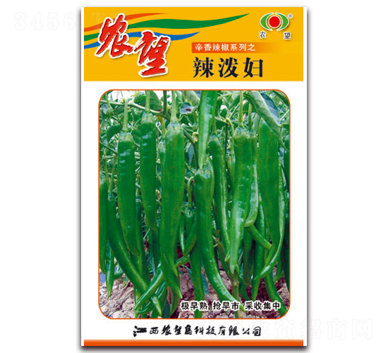 �����D-�⽷�N��-�r(n��ng)��