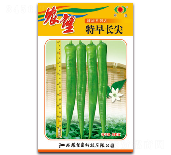 �����L��-�⽷�N��-�r��