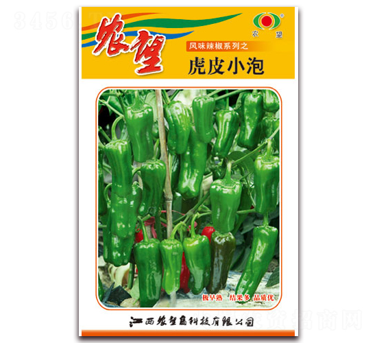 ��ƤС��-�����N��-�r(n��ng)��