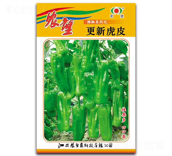 ���»�Ƥ-�����N��-�r(n��ng)��