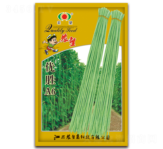 ��(y��u)��A6-�����N��-�r(n��ng)��