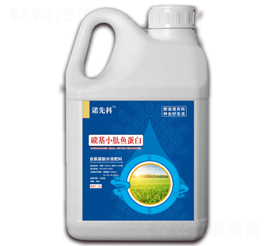 ̼��С���~����-�Z�ȿ�-�r(n��ng)�Z����