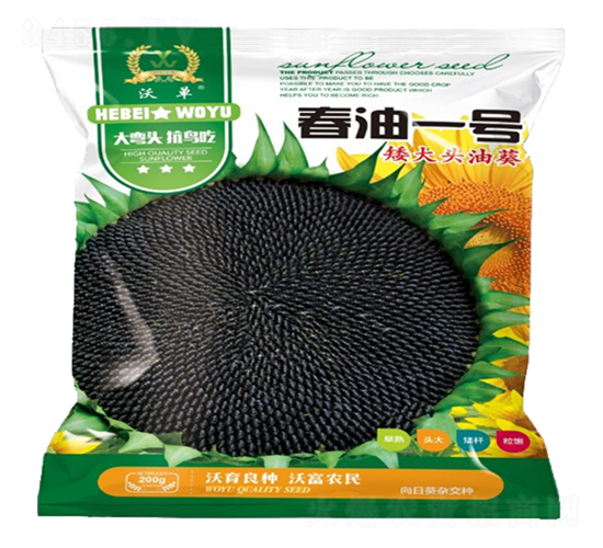 ����һ̖(h��o)-���տ��N��-�����r(n��ng)�I(y��)