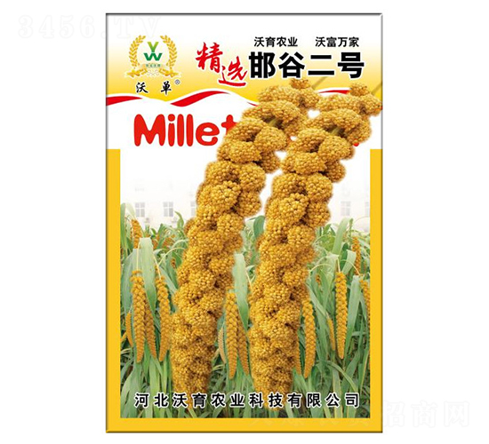 ����һ̖(h��o)-ˮ���N��-�����r(n��ng)�I(y��)