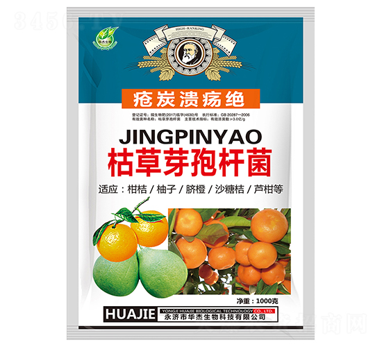 �ݲ�ѿ�ߗU��-��̿�����^-�A������