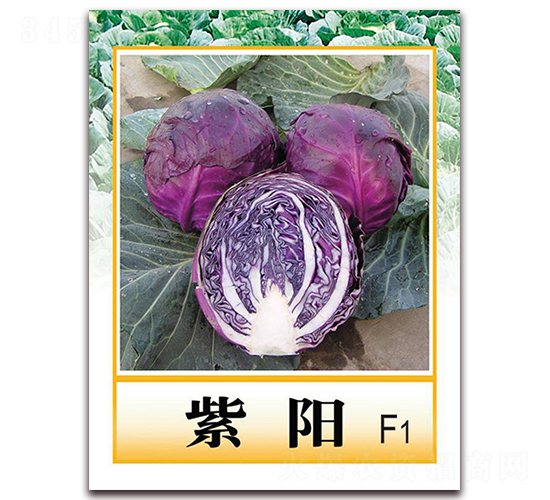 ���(y��ng)F1-�ϸ��{(l��n)�N��-���r(n��ng)���v