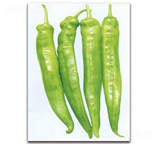 ����-ţ�ǽ��N��-���r(n��ng)���v