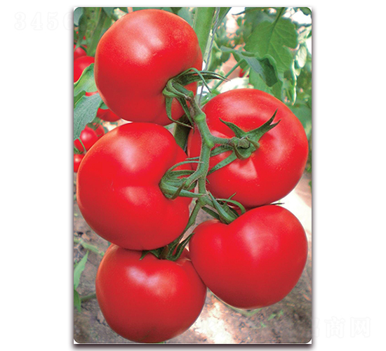 ����X3F1-��TY�۹����ѷN��-���r(n��ng)���v