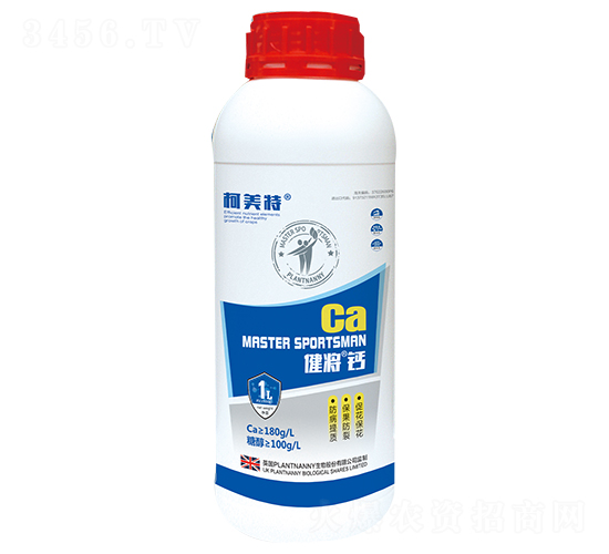 �}-����-������