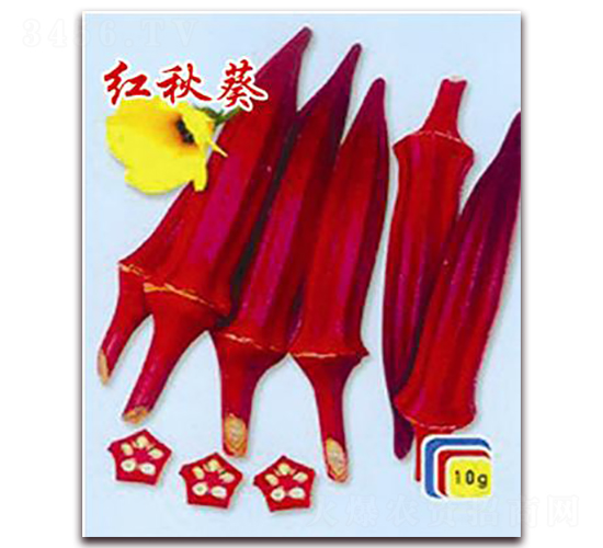 �t���-����N��-�ꂥ�N�I(y��)