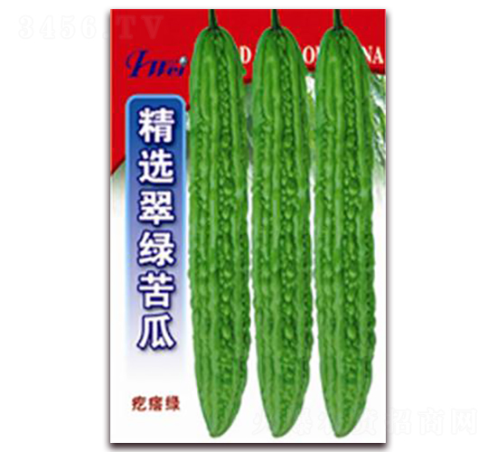 ���x��G���-��ϷN��-�ꂥ�N�I(y��)