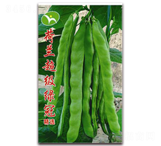 ���m�����G��-���ǷN��-�ꂥ�N�I(y��)