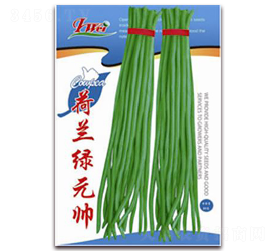 ���m�GԪ��-���ǷN��-�ꂥ�N�I(y��)