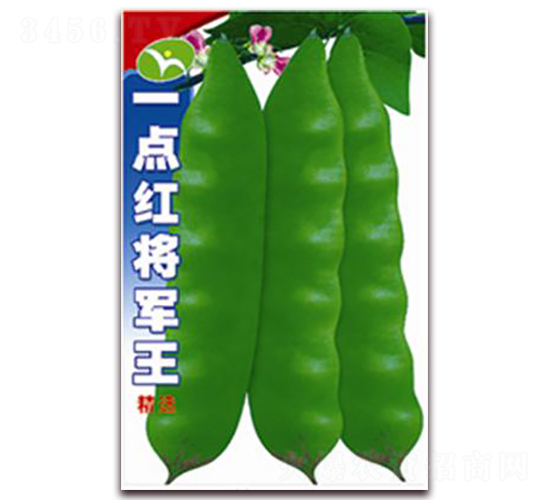 һ�c�t��܊��-���ǷN��-�ꂥ�N�I(y��)