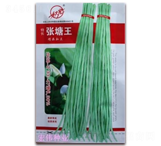 ��?zh��)��?�����N��-�ꂥ�N�I(y��)