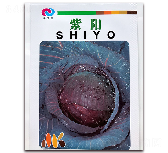 ���-���{(l��n)�N��-�ꂥ�N�I(y��)