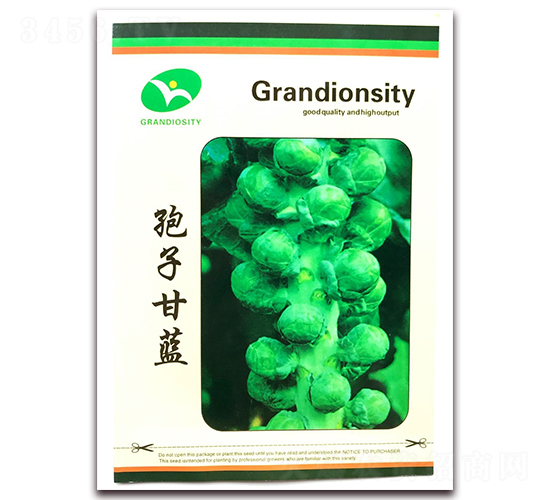 ���Ӹ��{(l��n)-���{(l��n)�N��-�ꂥ�N�I(y��)