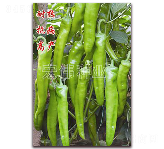 ����8̖(h��o)-�����N��-�ꂥ�N�I(y��)