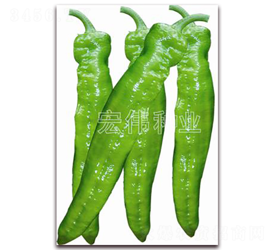 �G��65-�����N��-�ꂥ�N�I(y��)