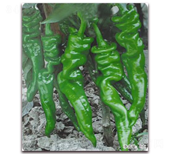 �ݽz���N��-�ꂥ�N�I(y��)