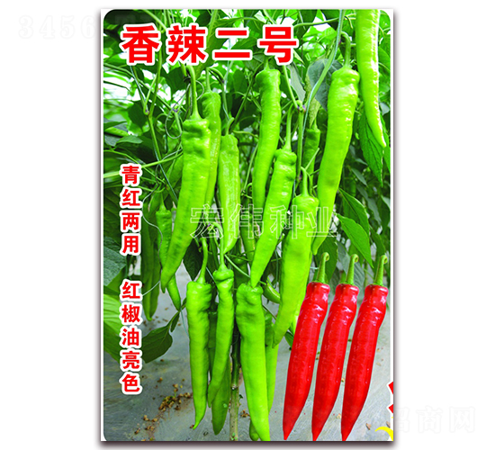 ������̖-�����N��-�ꂥ�N�I(y��)