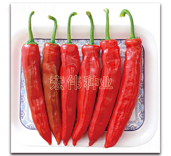 �ꂥһ̖(h��o)ˮ����-�����N��-�ꂥ�N�I(y��)