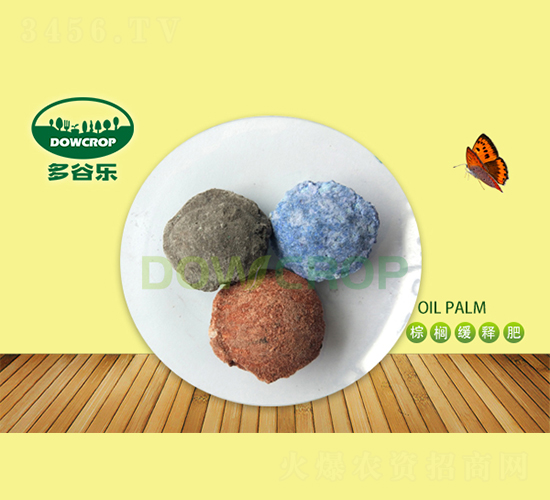 ���ؾ�ጷ�-��Ș�