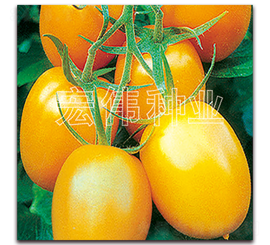 ���S�_��-�������t���N��-�ꂥ�N�I(y��)