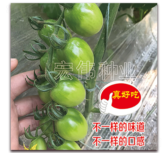 ��˼��-�������t���N��-�ꂥ�N�I(y��)