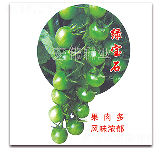 �G��ʯ-�������t���N��-�ꂥ�N�I(y��)