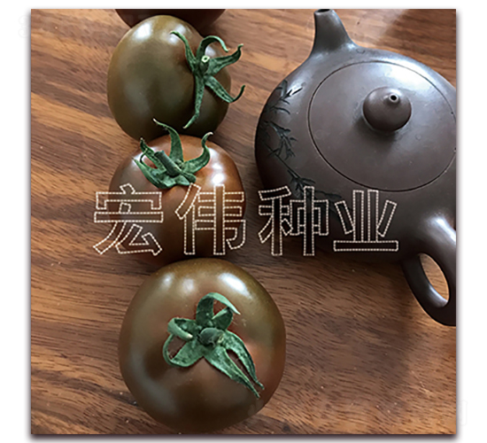 ����ɰ-�������t���N��-�ꂥ�N�I(y��)