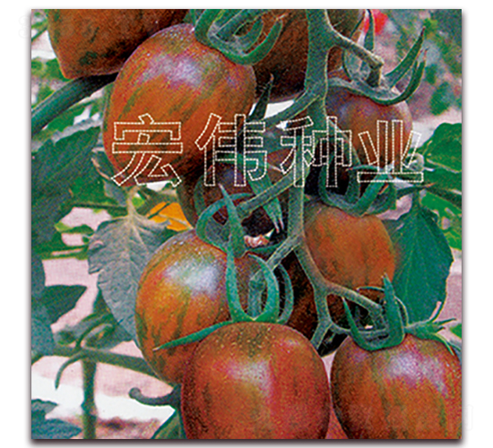 ����12-8-�������t���N��-�ꂥ�N�I(y��)