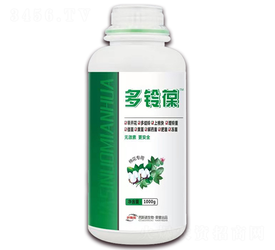 �޻���(zhu��n)�ö����-��˹�Z