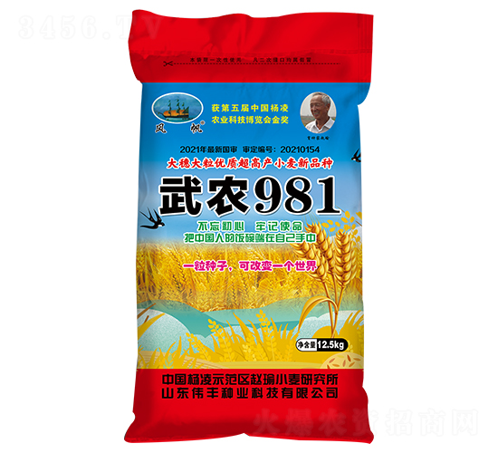 ���r(n��ng)981��С���N�ӣ�-���S�N�I(y��)