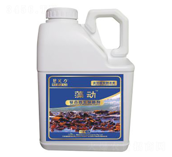 �ͺ�΢�������-���-��������