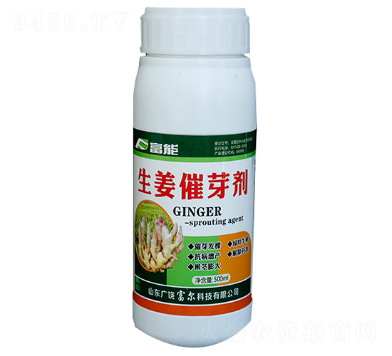 ������ѿ��-�����Ƽ�