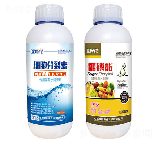 ��(x��)��������+������-�����Ƽ�