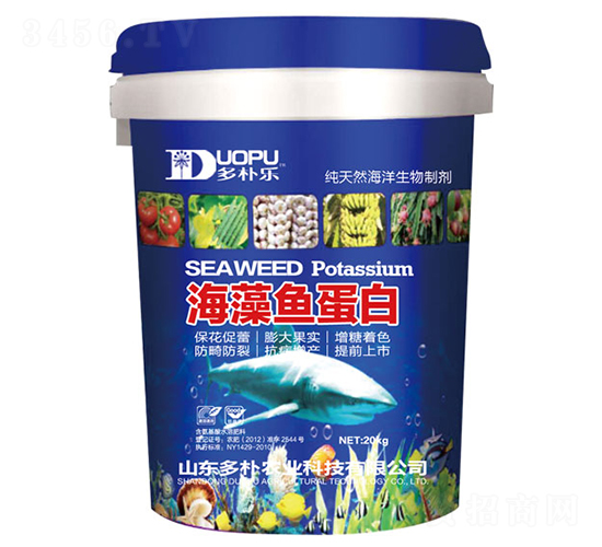 �����~����-�����Ƽ�