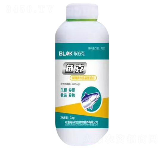 ̼ø���İ����~(y��)����-�~(y��)��-�����